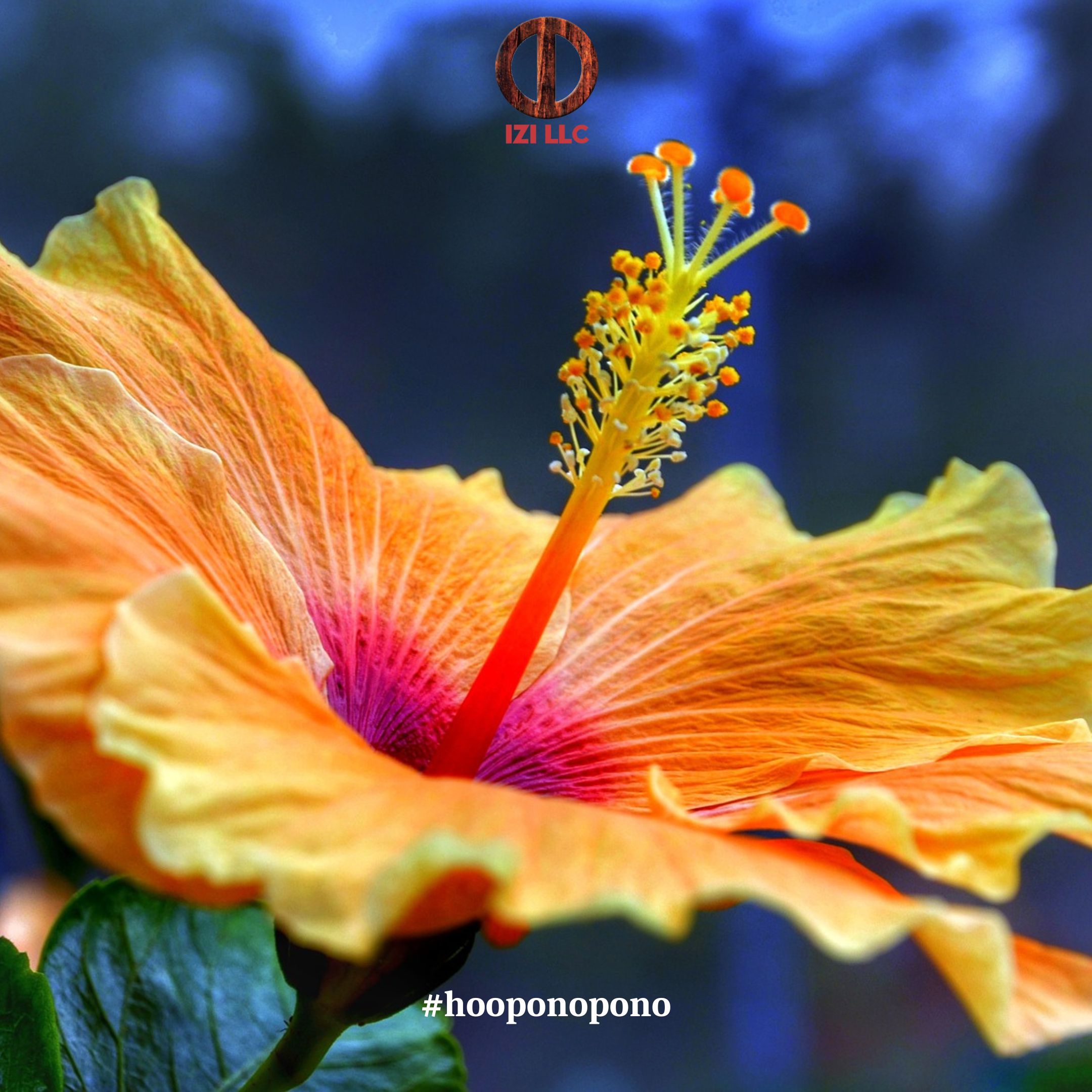 20230327 - Ho'oponopono Official