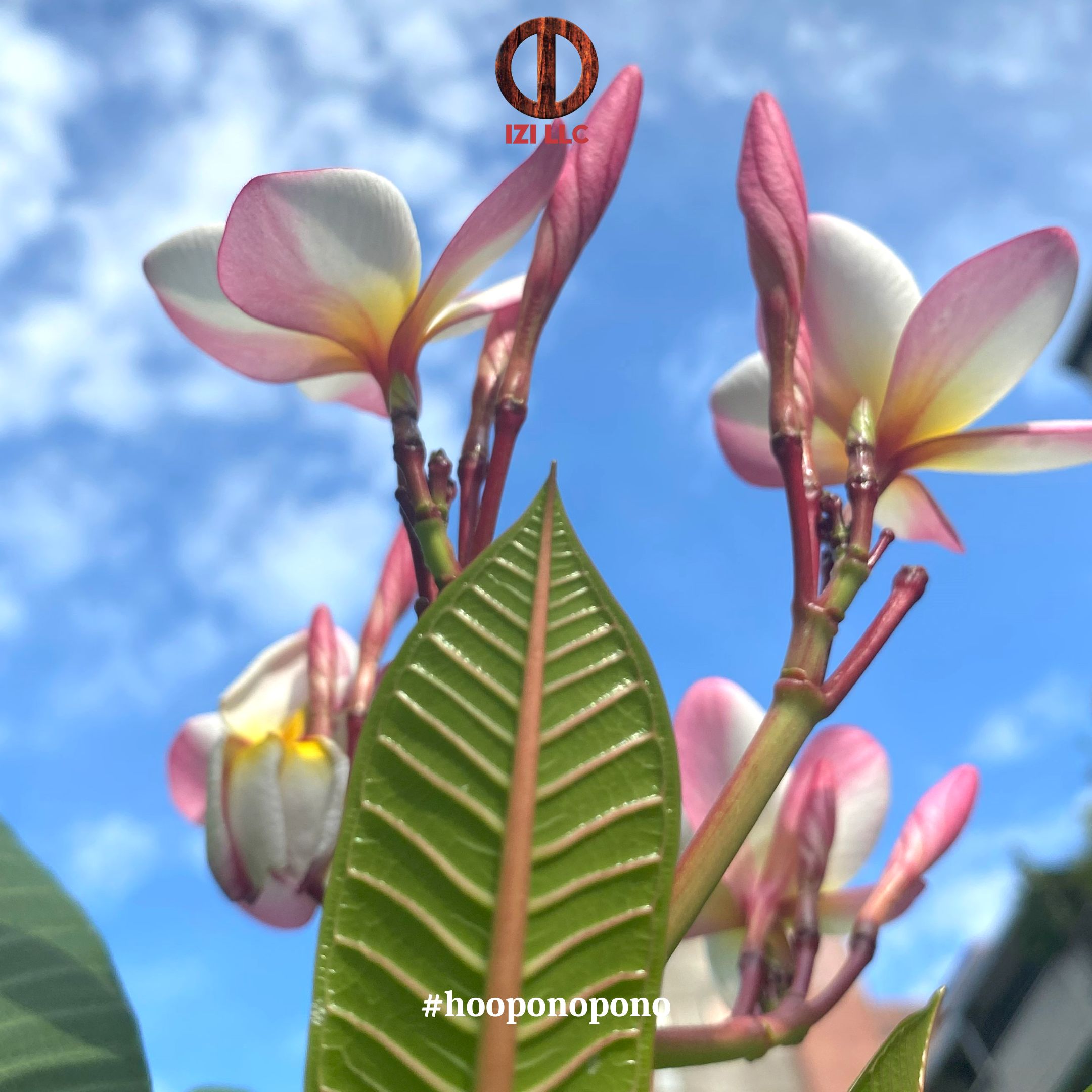 20230828 - Ho'oponopono Official