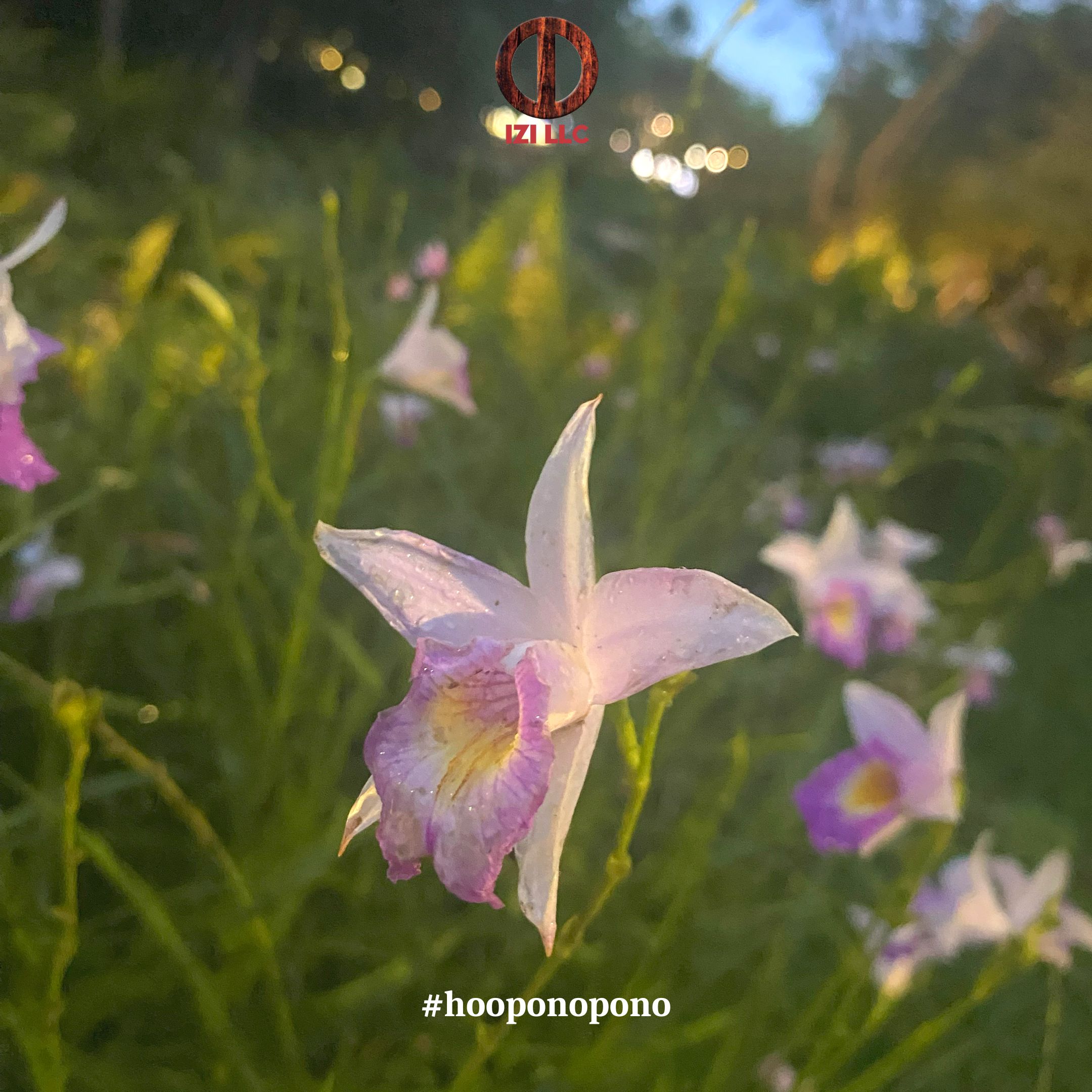 20230919 - Ho'oponopono Official