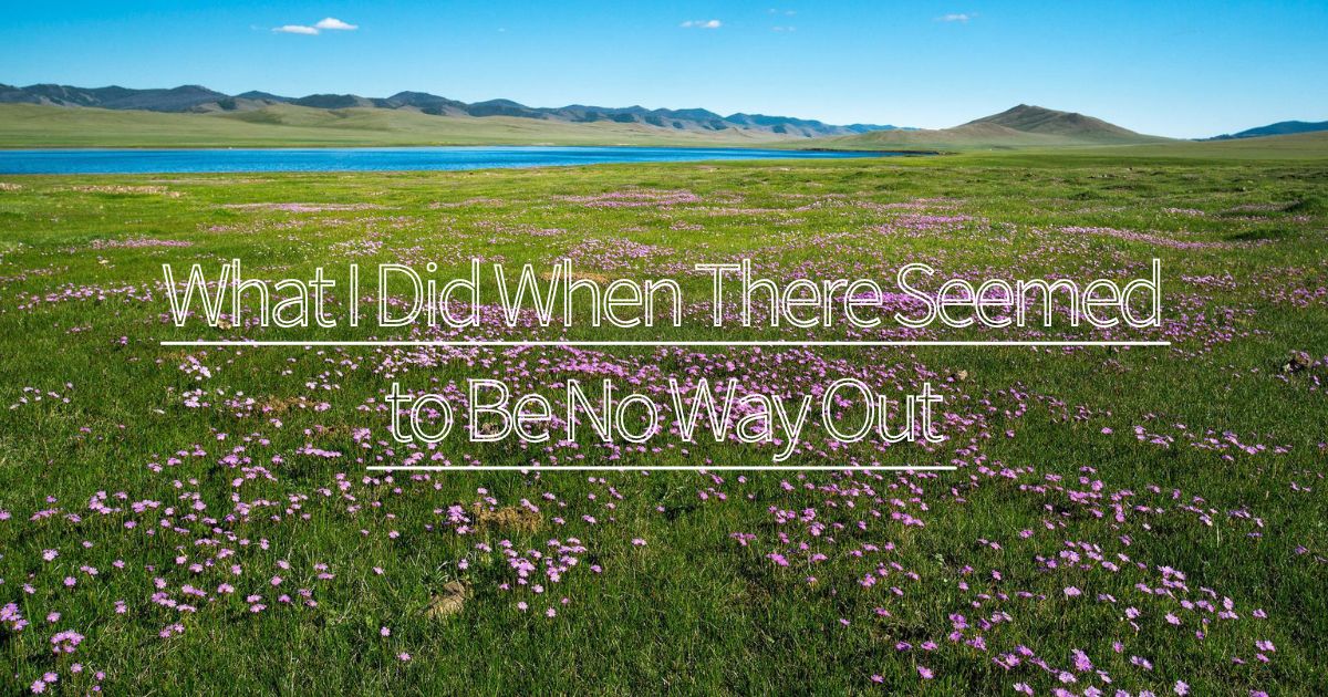 What I Did When There Seemed to Be No Way Out