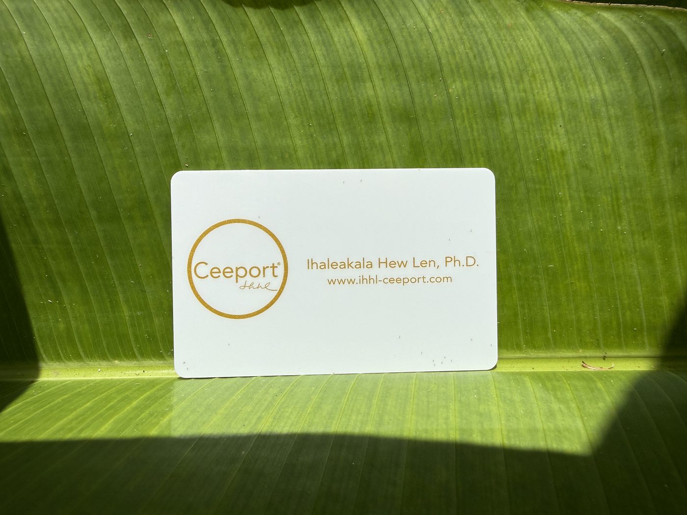 Ceeport カード（5/8枚目）