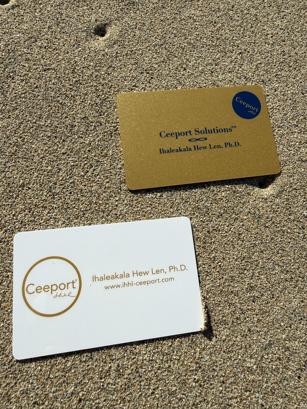 Ceeport カード（7/8枚目）