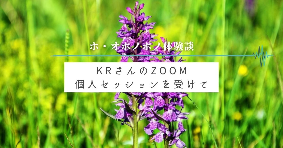 KRさんのZOOM個⼈セッションを受けて - ホ・オポノポノ公式サイト