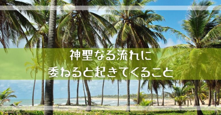倒れない木 倒れない木
