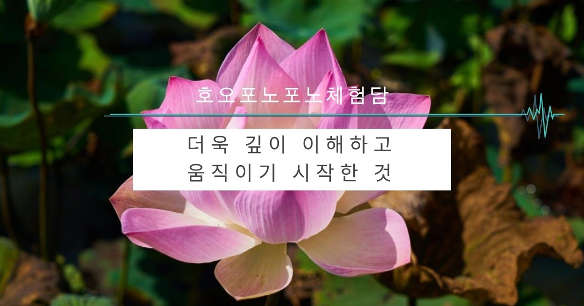 더욱 깊이 이해하고 움직이기 시작한 것