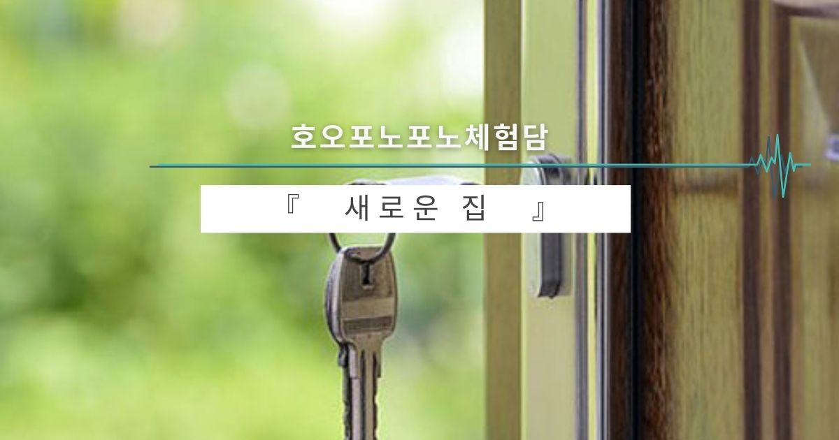 새로운 집