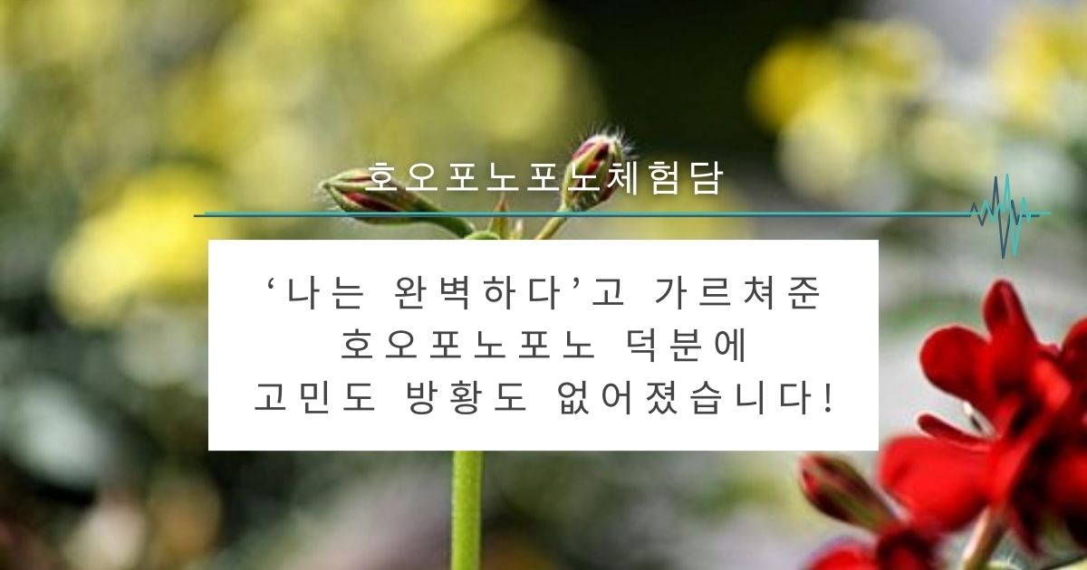 ‘나는 완벽하다’고 가르쳐준 호오포노포노 덕분에고민도 방황도 없어졌습니다!