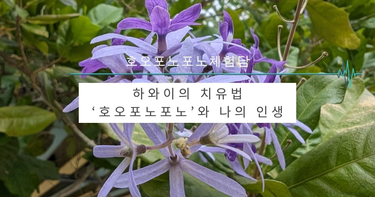 하와이의 치유법 ‘호오포노포노’와 나의 인생