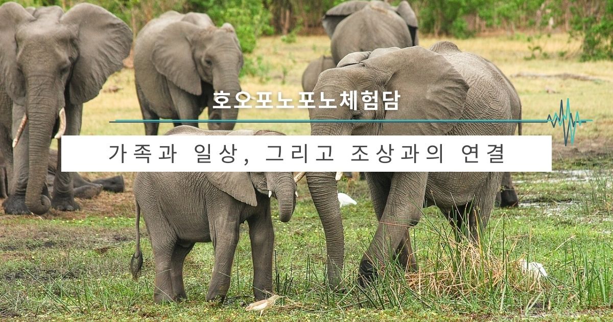 가족과 일상, 그리고 조상과의 연결