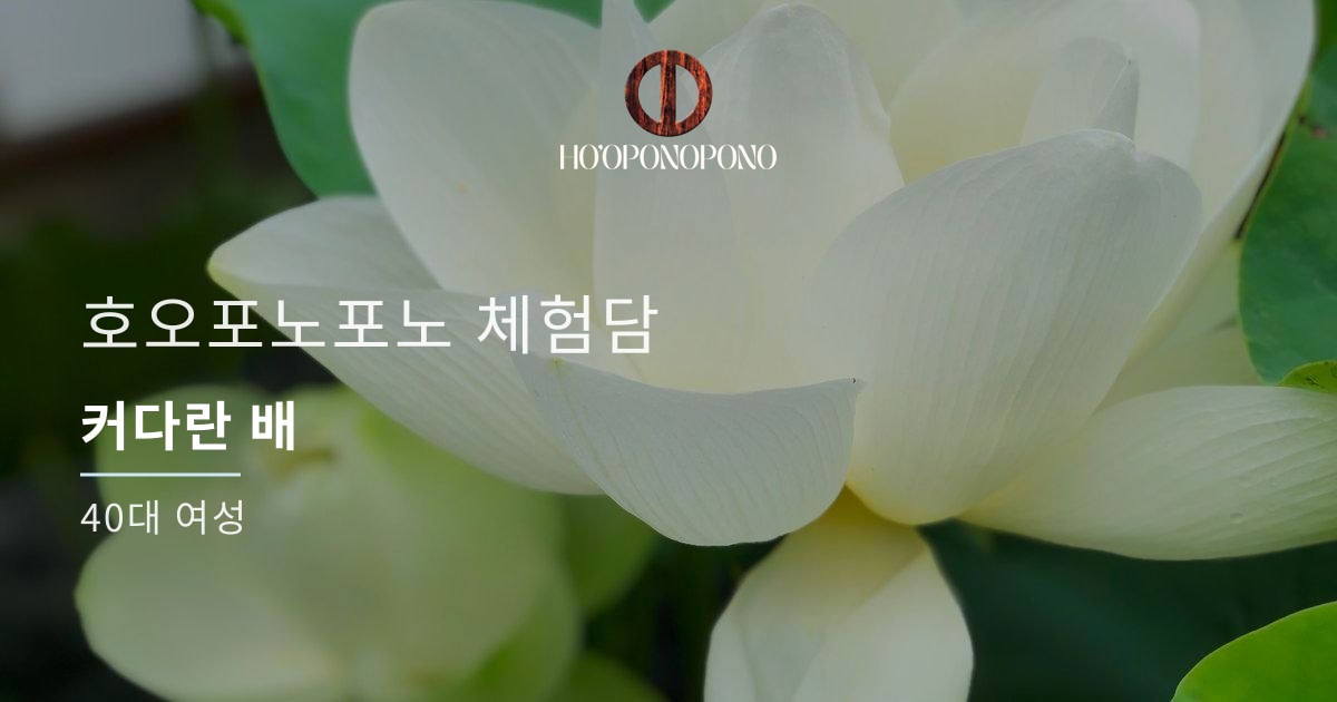 White flower background with Ho'oponopono logo and Korean headline about a 40-something woman's experience with Ho'oponopono