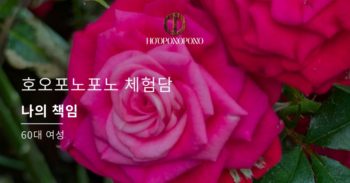 나의 책임