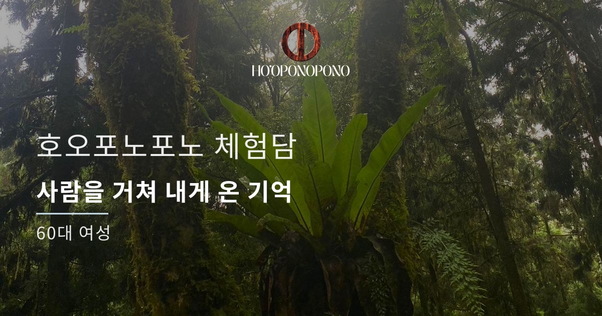 사람을 거쳐 내게 온 기억