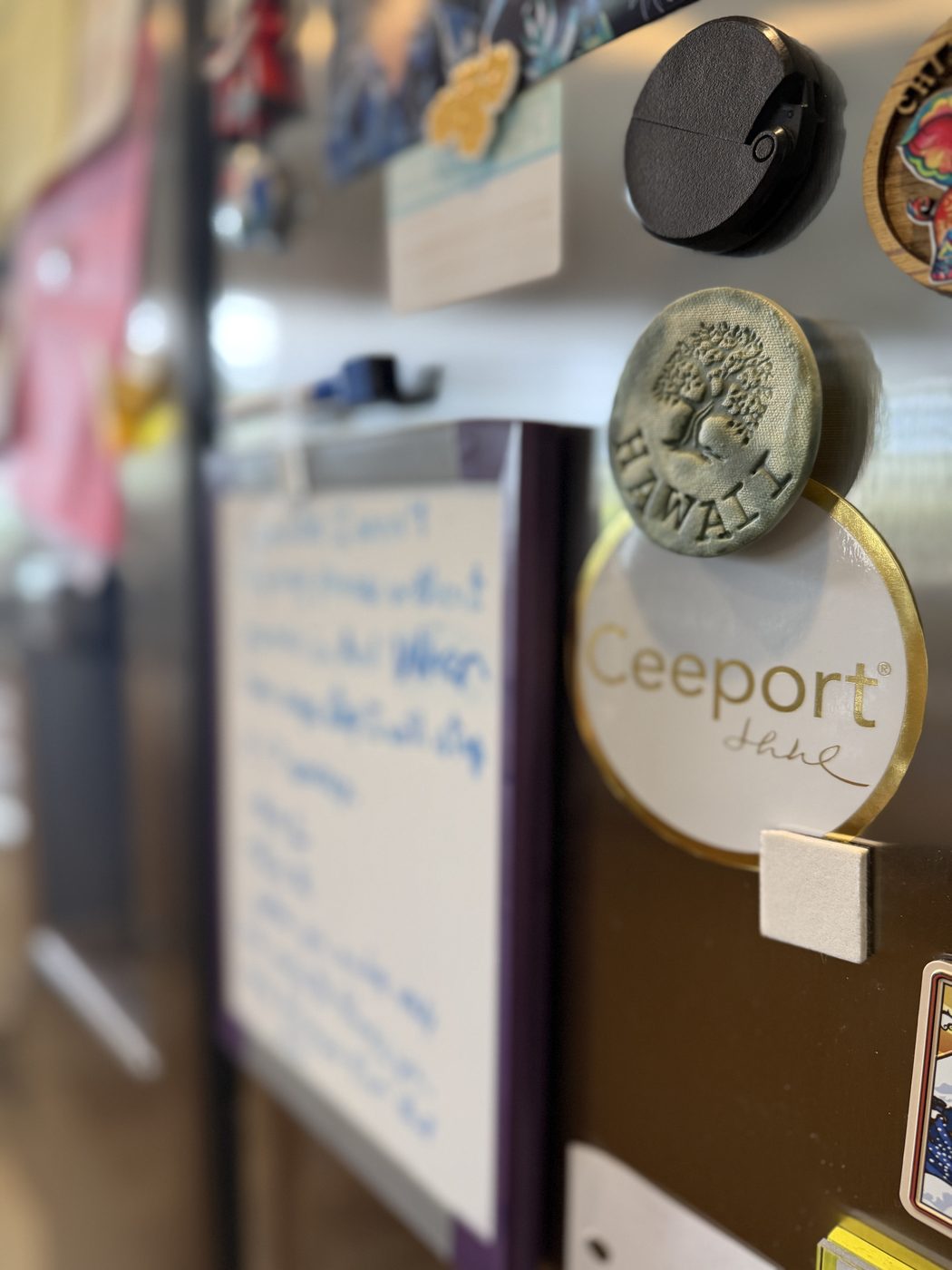 Ceeport 貼紙（第 5／7 張）