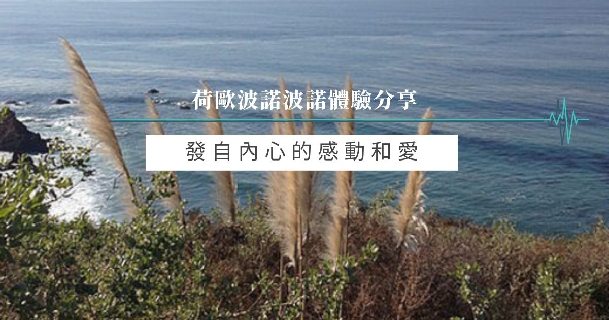 發自內心的感動和愛