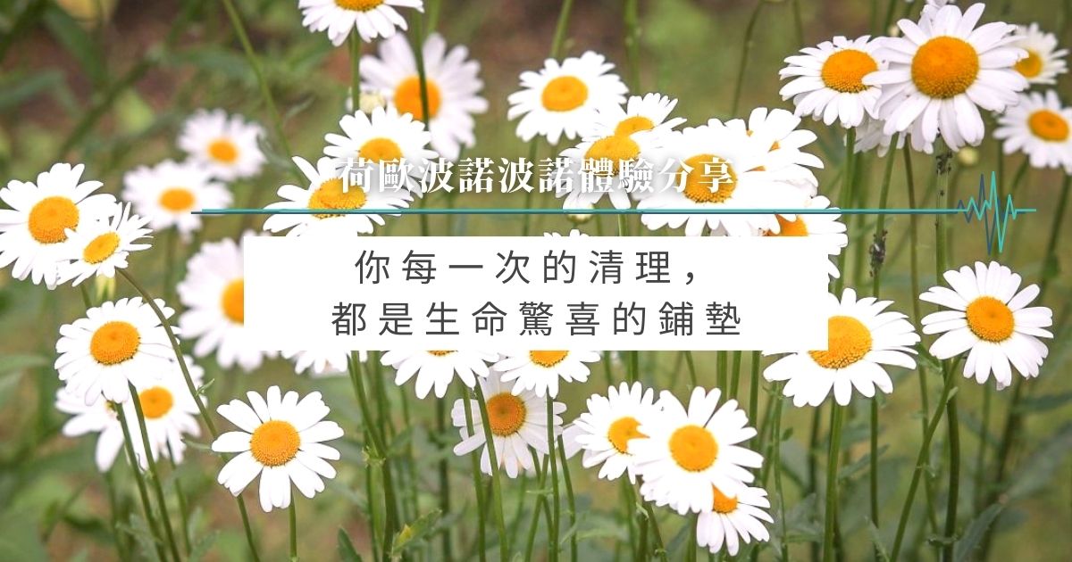 你每一次的清理，都是生命驚喜的鋪墊