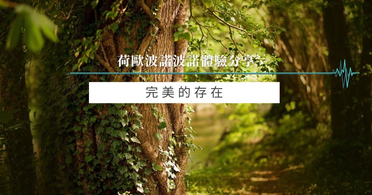 完美的存在