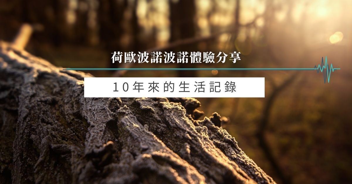 10年來的生活記錄