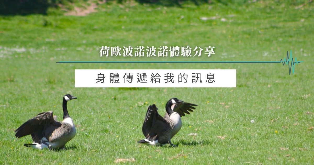 身體傳遞給我的訊息