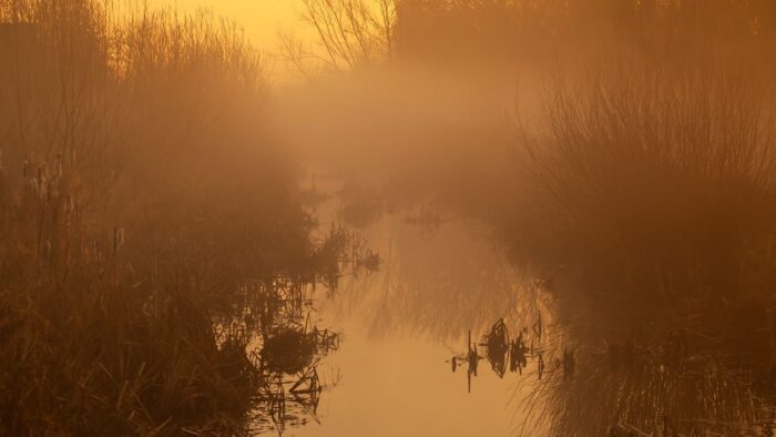 Orange fog over a narrow stream lined with reeds; still water reflects the hazy sky.