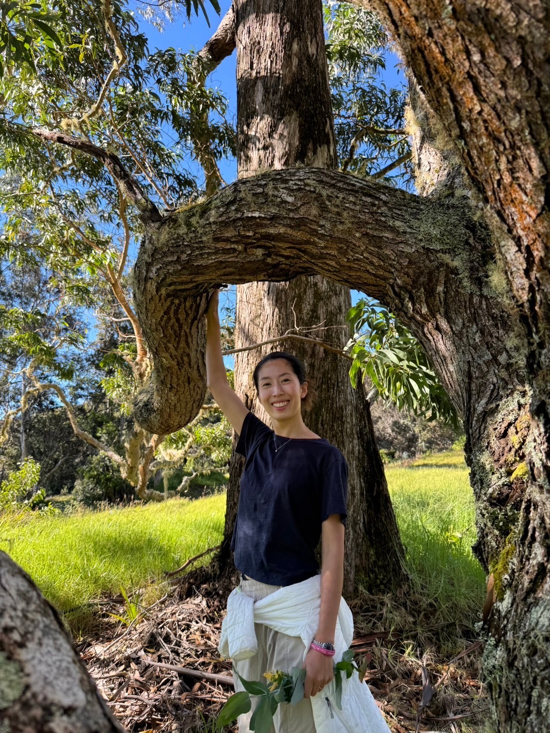 Irene_profile_picture Woman standing outdoors under a large, curved tree branch, smiling with blue sky and green field behind her.